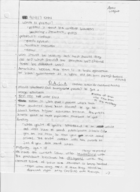 American Government Week 3 Notes