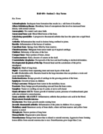 Skeletal terms