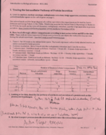 Biol 1361 Recitation Notes for Cells