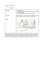 Cornell Notes Chapter 4, 5, & 6