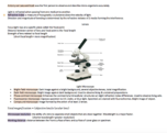 Biological Foundations Lab: Microscopes