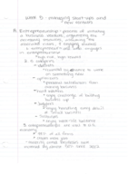Management 201 week 5