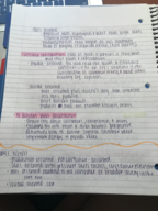 MKTG 451 WEEK 2 NOTES