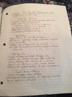 Psych 333