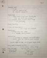 Anthropology 09/25