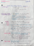 Anatomy and Physiology (Bones and Articulations)