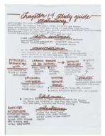 Cultural Anthropology Chapters 1-4 Study Guide
