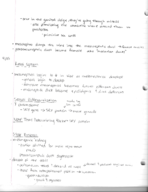 Exam 2 Study Guide