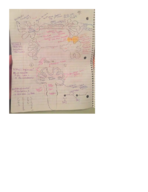 Week 2 Lecture Notes
