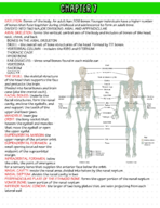 BIOL 181 Chapter 7 Pt 1 Textbook Notes