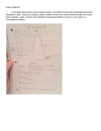 Study Guide Exam 1