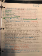 EIEC 3140, Wk 1