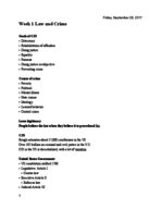 CJ 275 (Court Process) Study Guide