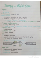 Biology Exam 2 Study Guide