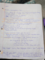 Weak 4 notes Anthro 220