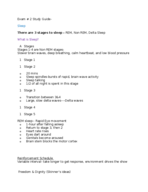 Study guide Exam 2 