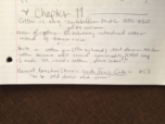 Chapter 11 and The Old South Lecture Notes