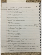 GEOG 305, Week 5 Notes