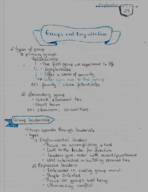 Groups and organizations