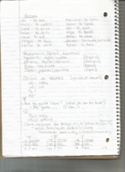 Spanish 103 Week 4 Notes