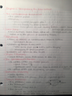 History Chapter 6 notes