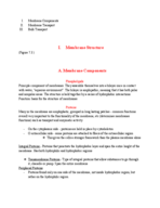 Nutrition and Health