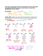 Study Guide Exam 1