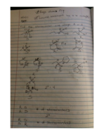 Exam 2 Study Guide 