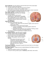 PSY 2210 Notes Week 5