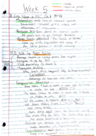 American Heritage Week 5 notes