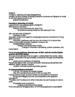 Week 5 notes