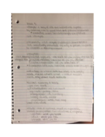 Week 5 Notes