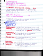 Lifespan Notes week 5