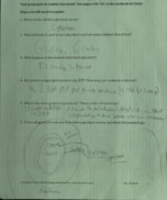 Recitation Notes Cellular Respiration