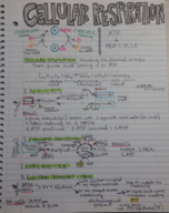 Cellular Respiration Notes