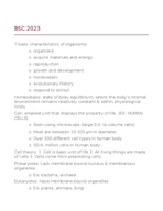 BSC 2023 notes 
