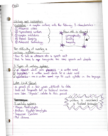 Week 5 notes, Near East