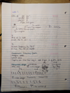 Week 5 bio 386