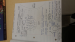 Ecology Week 3 Lecture Notes 