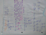 Final study guide