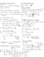 Exam 1 Study Guide
