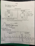 EAR 117 - Week 6 (Part 2)