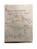 Chem 207 Week 6 Lecture Notes