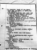 intro to social problems family issues notes