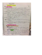 NUTR205- Ch 10 & 11 Notes