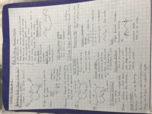 Study Guide 1