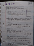 CHI 10, Week 3, Lecture 4 Notes