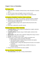 Chapter 8 Course Notes