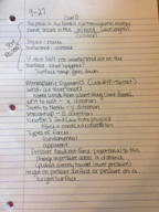 week 6 notes