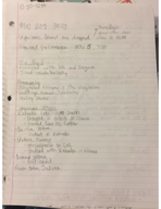 Mus 205 Week 1&2